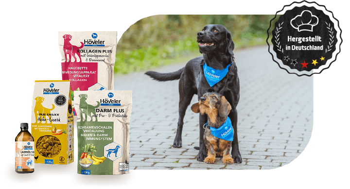 Banner Hoeveler Dog